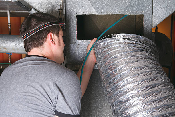 Best Air Duct Mold Removal  in Shoemakersville, PA